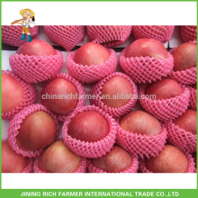 Exporter le jus de fruits chinois rouge délicieux Fresh Fuji Apple